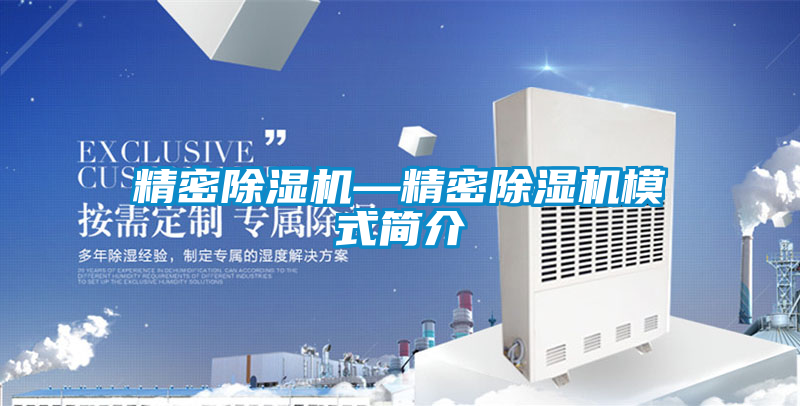 精密除濕機—精密除濕機模式簡介