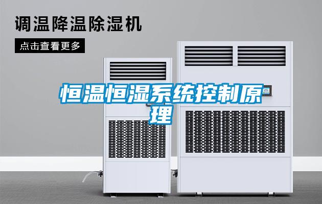 恒溫恒濕系統控制原理