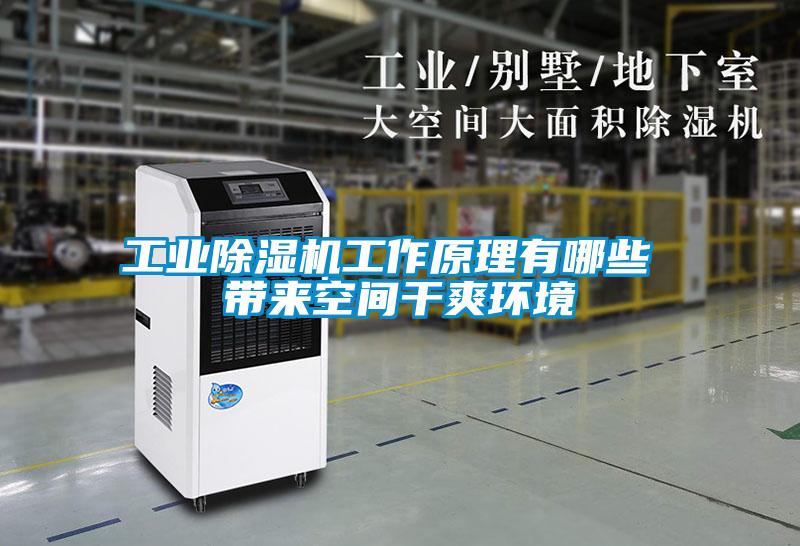 工業(yè)除濕機(jī)工作原理有哪些 帶來(lái)空間干爽環(huán)境