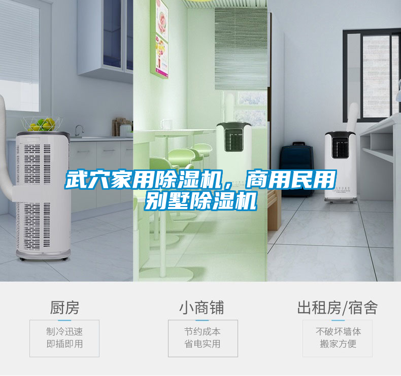 武穴家用除濕機(jī)，商用民用別墅除濕機(jī)