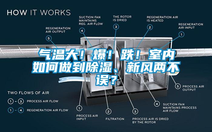 氣溫大！爆！跌！室內(nèi)如何做到除濕、新風(fēng)兩不誤？