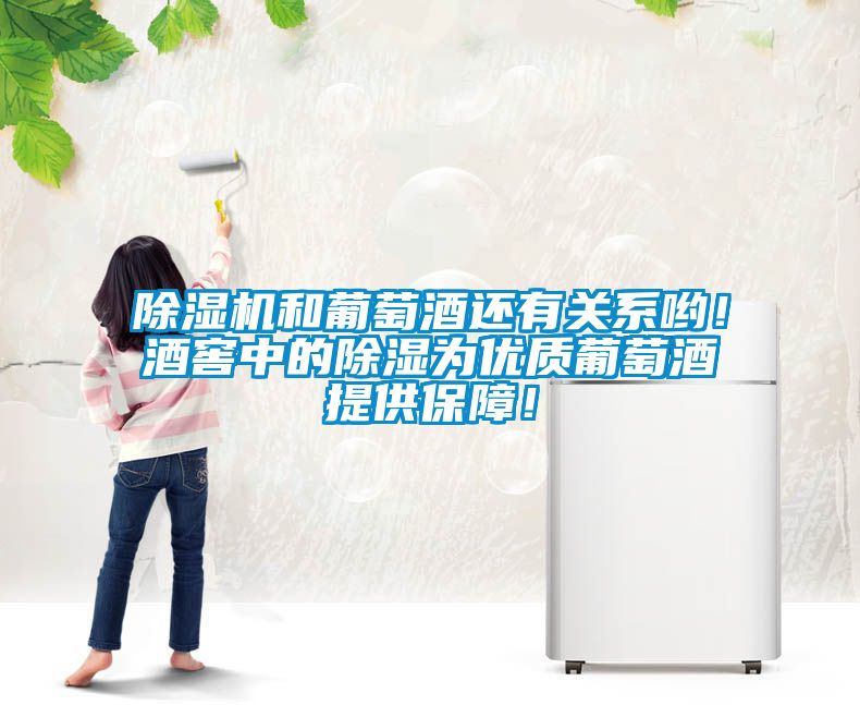 除濕機和葡萄酒還有關(guān)系喲！酒窖中的除濕為優(yōu)質(zhì)葡萄酒提供保障！