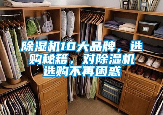除濕機10大品牌，選購秘籍，對除濕機選購不再困惑