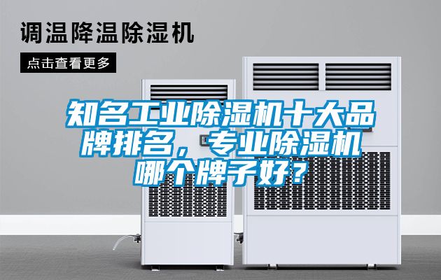 知名工業(yè)除濕機(jī)十大品牌排名，專業(yè)除濕機(jī)哪個(gè)牌子好？