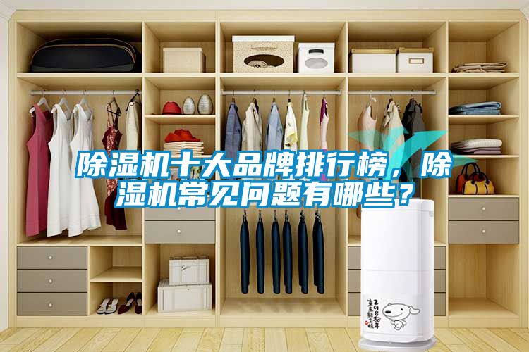 除濕機十大品牌排行榜，除濕機常見問題有哪些？