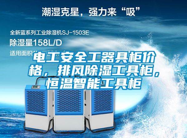 電工安全工器具柜價格，排風(fēng)除濕工具柜，恒溫智能工具柜