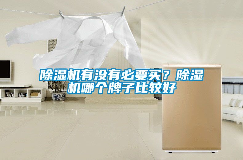 除濕機(jī)有沒有必要買？除濕機(jī)哪個牌子比較好