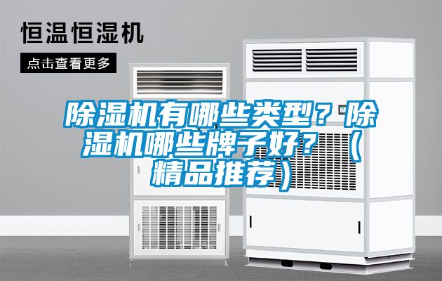 除濕機(jī)有哪些類型？除濕機(jī)哪些牌子好？（精品推薦）