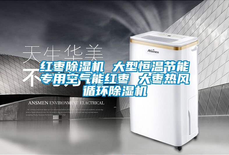 紅棗除濕機(jī) 大型恒溫節(jié)能專(zhuān)用空氣能紅棗 大棗熱風(fēng)循環(huán)除濕機(jī)