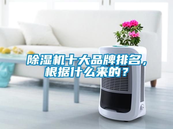 除濕機十大品牌排名，根據什么來的？