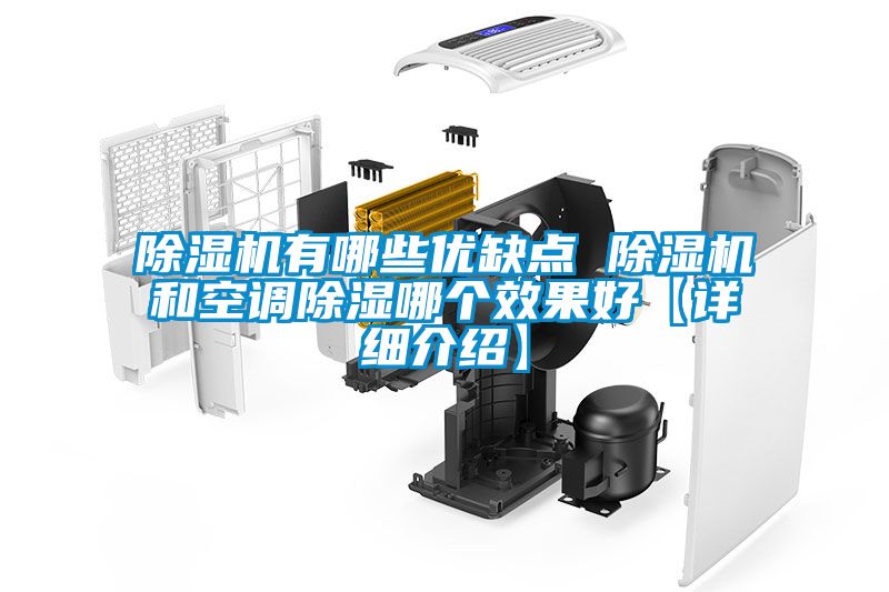 除濕機(jī)有哪些優(yōu)缺點 除濕機(jī)和空調(diào)除濕哪個效果好【詳細(xì)介紹】