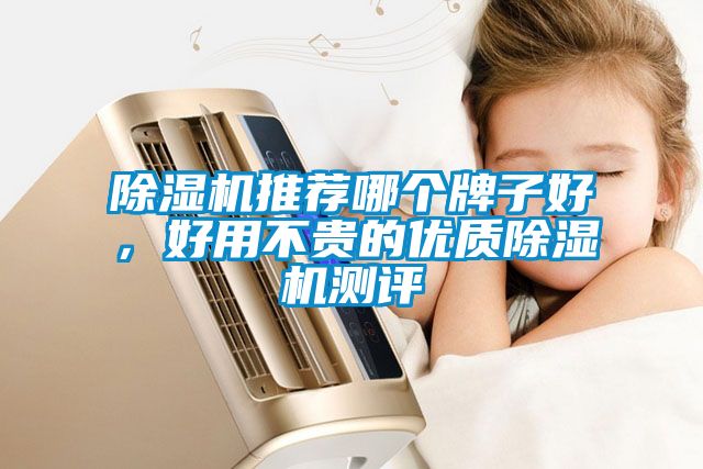 除濕機(jī)推薦哪個(gè)牌子好，好用不貴的優(yōu)質(zhì)除濕機(jī)測(cè)評(píng)