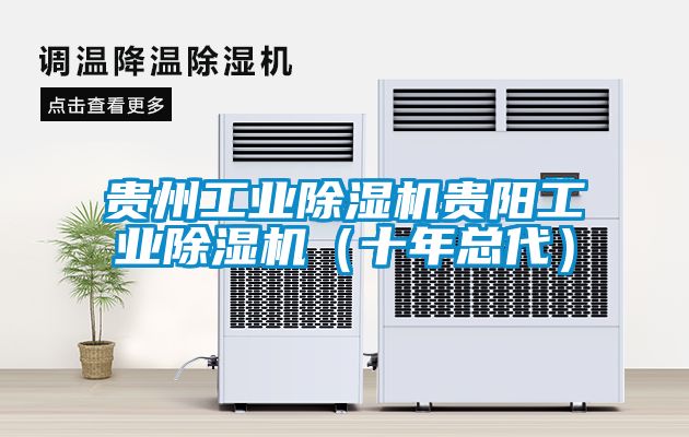貴州工業(yè)除濕機貴陽工業(yè)除濕機（十年總代）