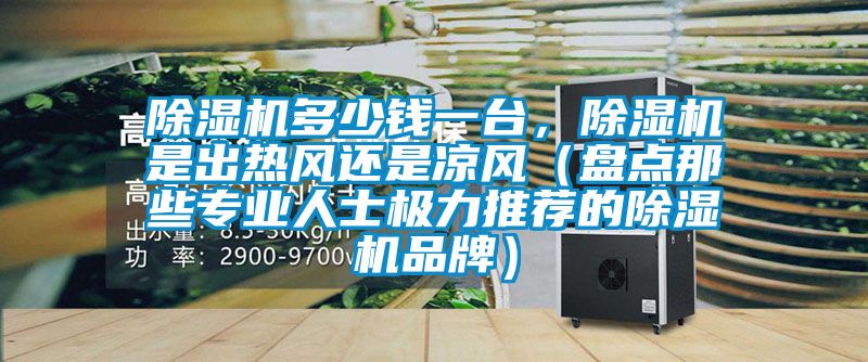 除濕機(jī)多少錢一臺，除濕機(jī)是出熱風(fēng)還是涼風(fēng)（盤點那些專業(yè)人士極力推薦的除濕機(jī)品牌）