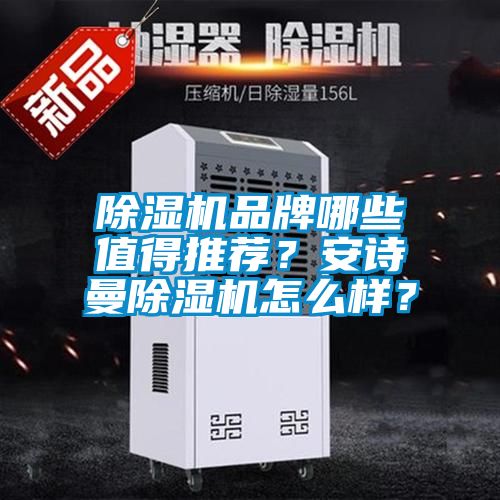 除濕機(jī)品牌哪些值得推薦？安詩曼除濕機(jī)怎么樣？