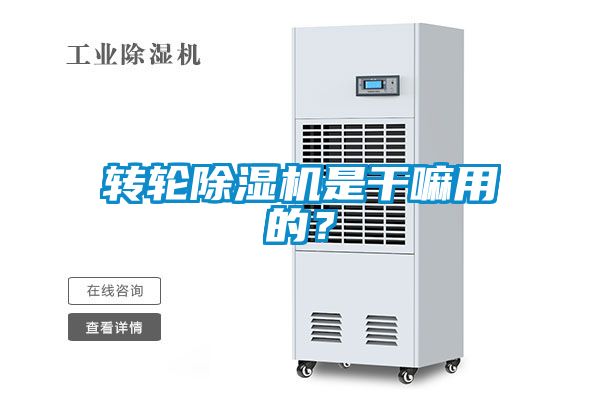轉(zhuǎn)輪除濕機(jī)是干嘛用的？