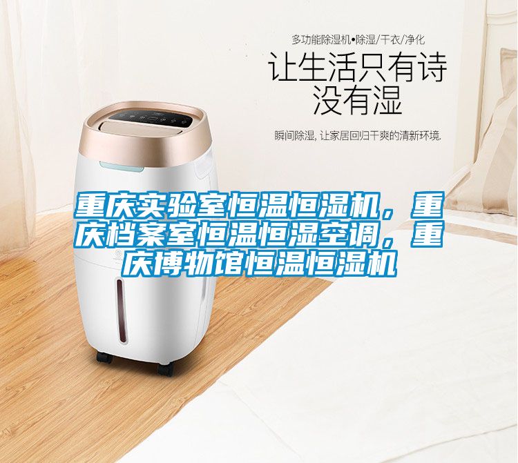 重慶實(shí)驗(yàn)室恒溫恒濕機(jī)，重慶檔案室恒溫恒濕空調(diào)，重慶博物館恒溫恒濕機(jī)