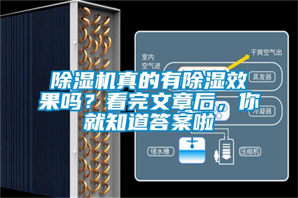 除濕機(jī)真的有除濕效果嗎？看完文章后，你就知道答案啦