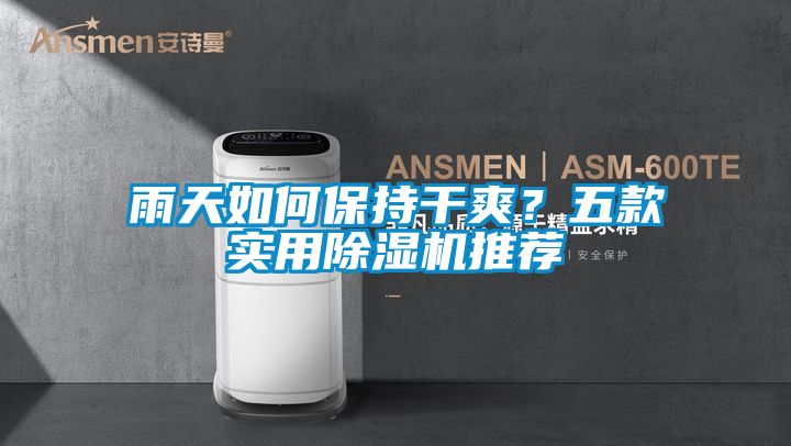 雨天如何保持干爽？五款實用除濕機推薦