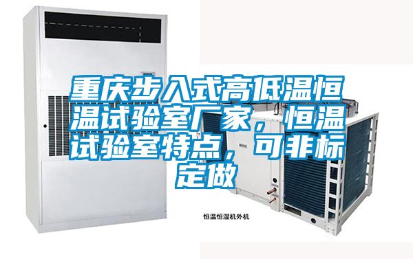重慶步入式高低溫恒溫試驗室廠家，恒溫試驗室特點，可非標(biāo)定做