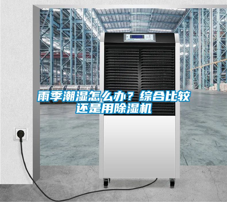 雨季潮濕怎么辦？綜合比較還是用除濕機