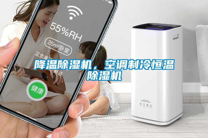 降溫除濕機，空調(diào)制冷恒溫除濕機