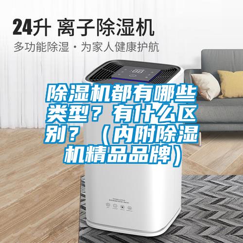 除濕機都有哪些類型？有什么區別？（內附除濕機精品品牌）