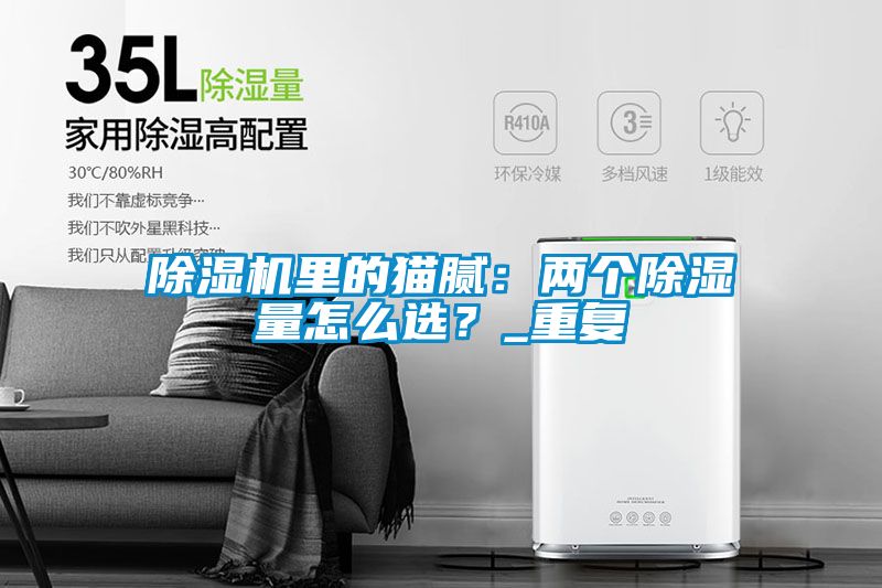 除濕機里的貓膩：兩個除濕量怎么選？_重復(fù)