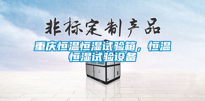 重慶恒溫恒濕試驗箱，恒溫恒濕試驗設(shè)備