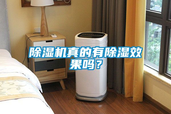 除濕機(jī)真的有除濕效果嗎？