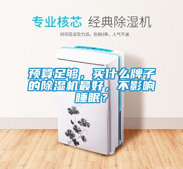 預算足夠，買什么牌子的除濕機最好，不影響睡眠？