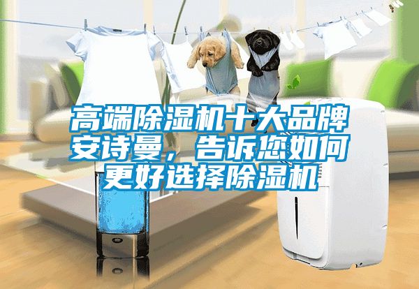 高端除濕機十大品牌安詩曼，告訴您如何更好選擇除濕機
