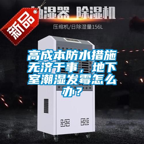 高成本防水措施無濟于事，地下室潮濕發霉怎么辦？