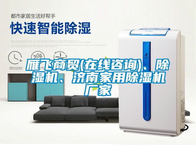 雁飛商貿(mào)(在線咨詢)、除濕機、濟南家用除濕機廠家