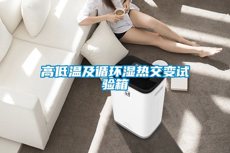 高低溫及循環(huán)濕熱交變試驗(yàn)箱