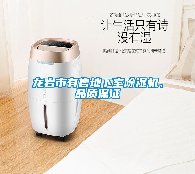 龍巖市有售地下室除濕機、品質保證