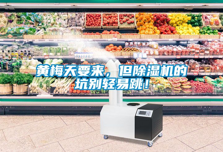 黃梅天要來，但除濕機的坑別輕易跳！