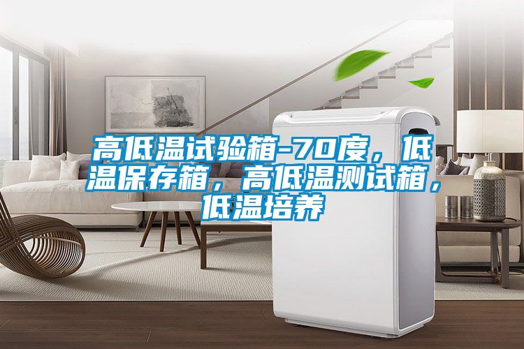 高低溫試驗箱-70度，低溫保存箱，高低溫測試箱，低溫培養(yǎng)