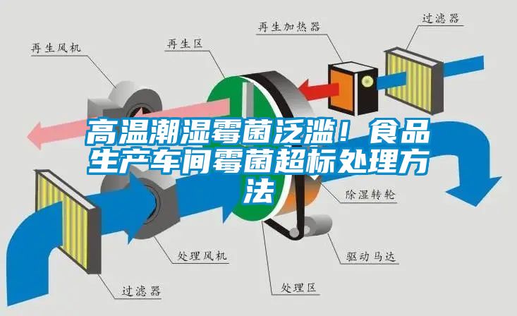 高溫潮濕霉菌泛濫！食品生產車間霉菌超標處理方法