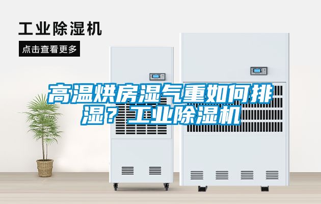 高溫烘房濕氣重如何排濕？工業除濕機