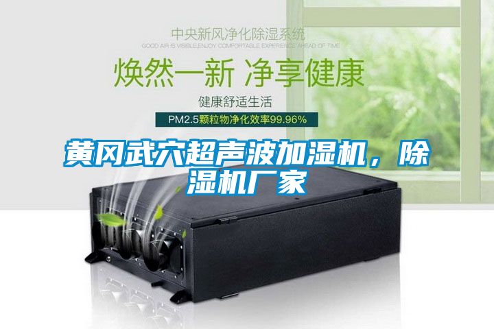 黃岡武穴超聲波加濕機(jī)，除濕機(jī)廠家